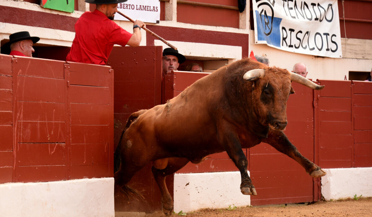 Vic-Fezensac presenta los carteles de su Feria de Pentecostés