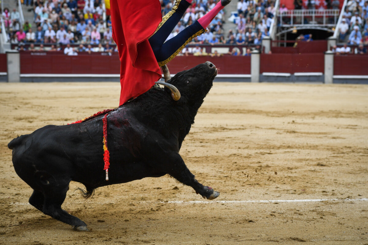 Rafael González, "herida en cara anterior de muslo izquierdo con trayectoria ascendente de 20 cm"