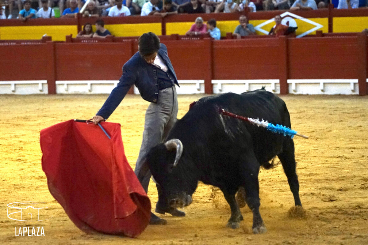 Diez orejas y dos rabos en la segunda clase práctica de Alicante