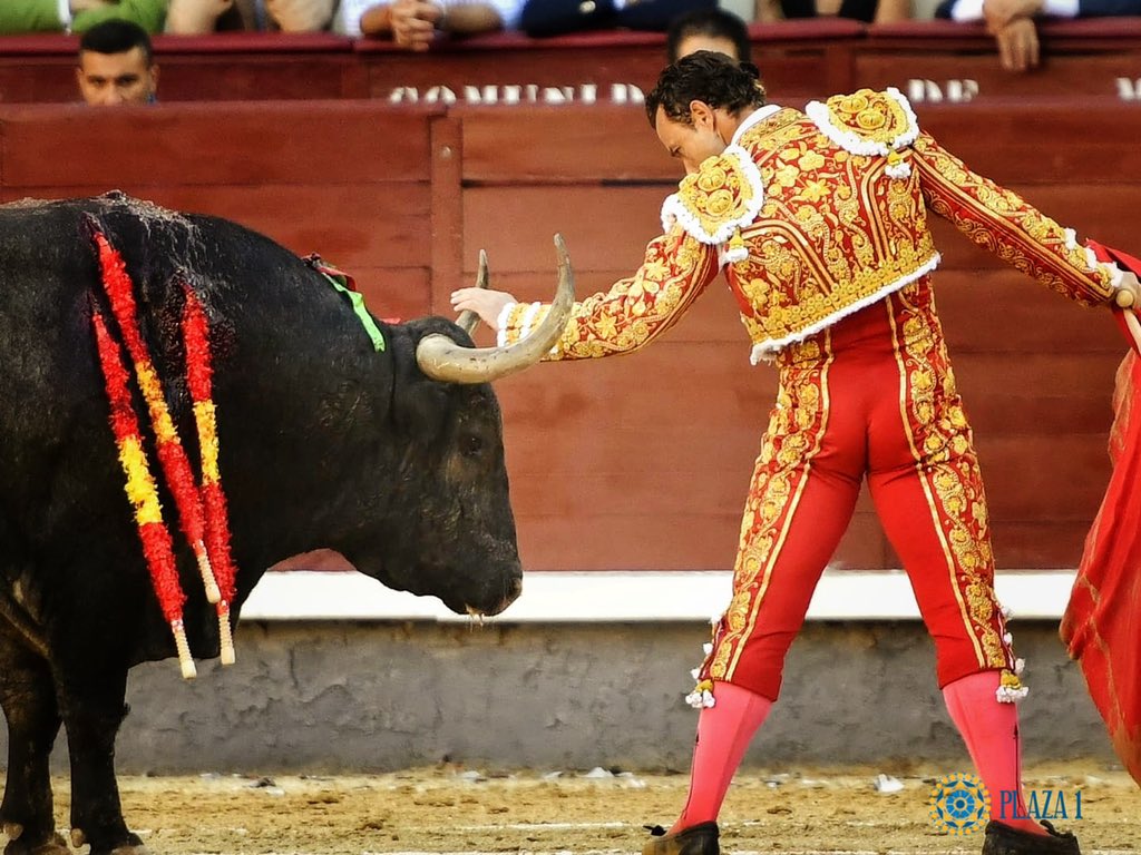 "Los toros de Adolfo Martín salieron esta tarde uno a uno"