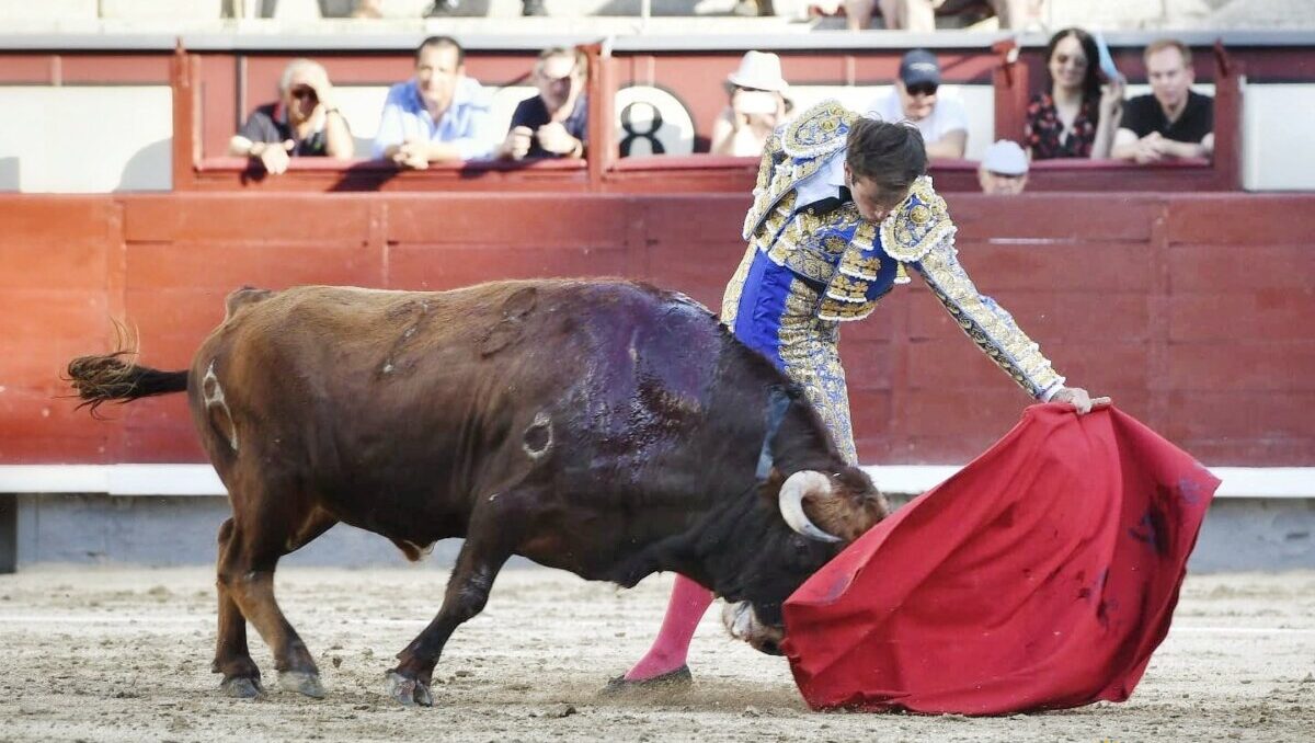 Santa Cruz del Retamar recupera su feria y dará tres novilladas