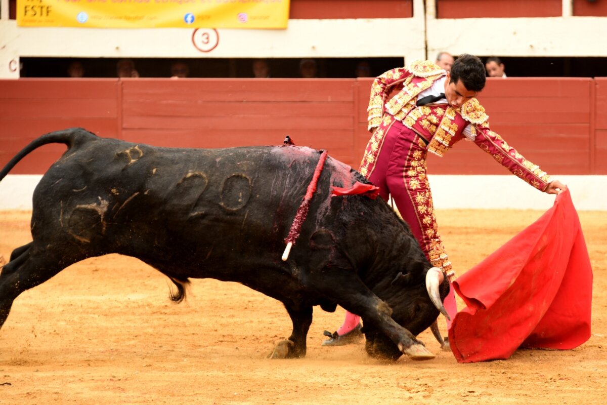 La terna se va de vacío en la novillada matinal de Vic-Fezensac