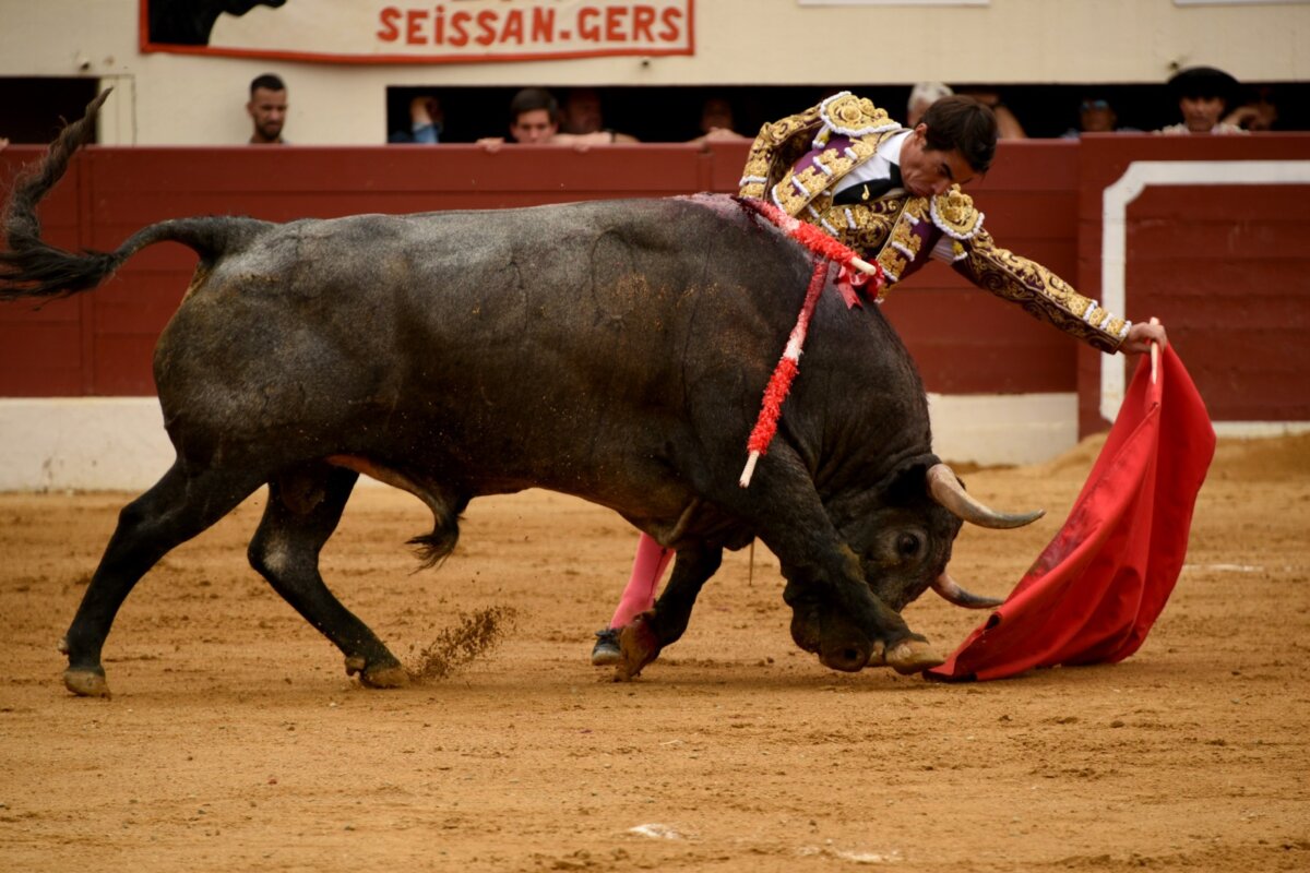 López Chaves, única vuelta al ruedo en la corrida de Vic-Fezensac