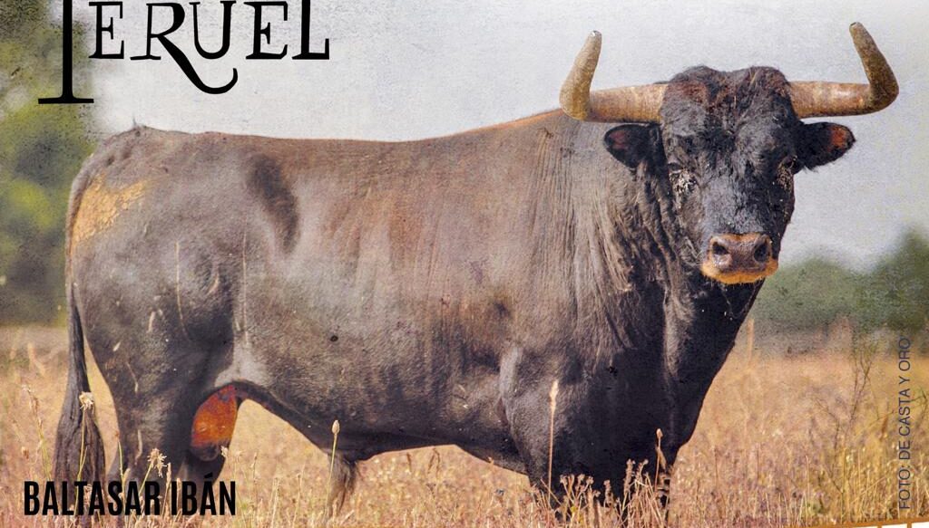Los toros de Baltasar Ibán para la Feria del Ángel de Teruel