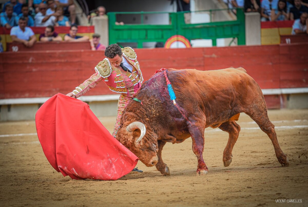Una miurada infumable estrella las ilusiones en Castellón