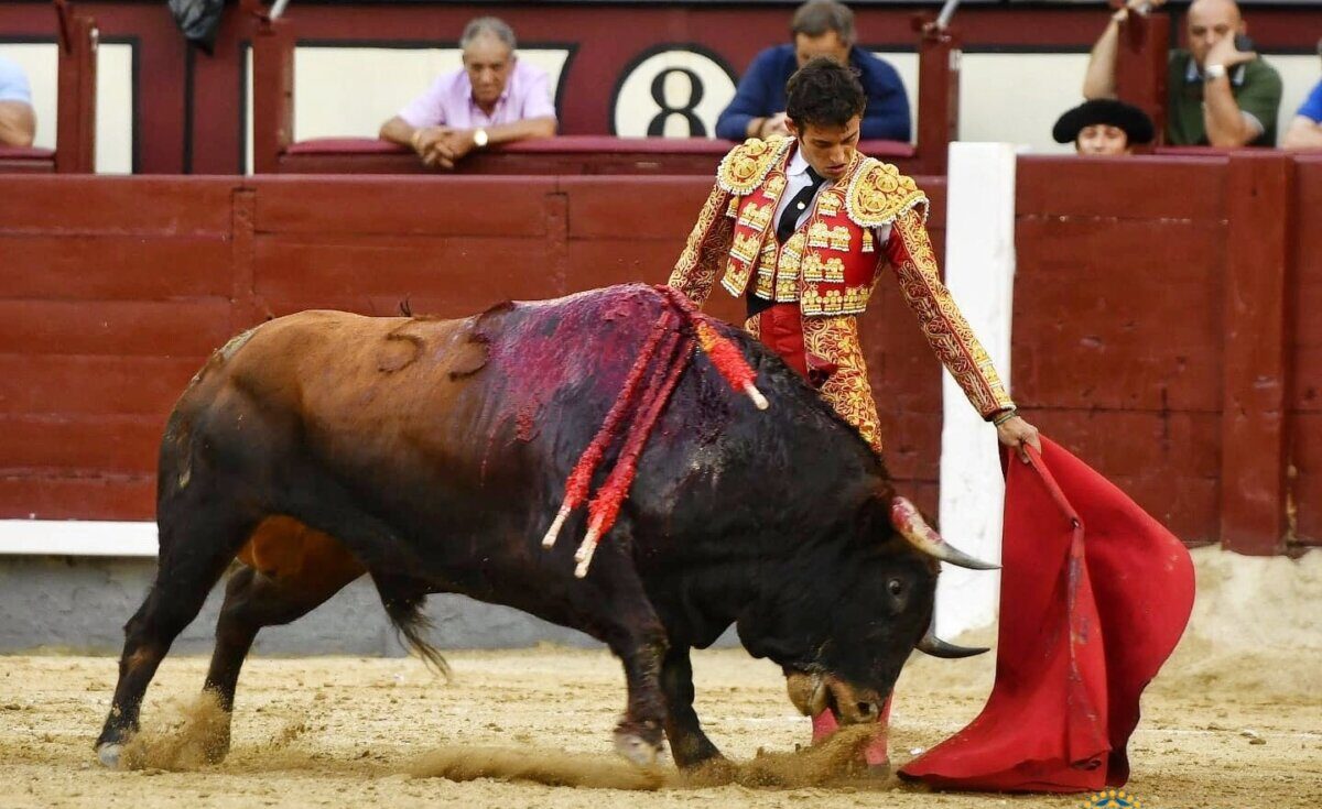 Vuelta al ruedo para Burdiel con una buena novillada de Montealto en Madrid