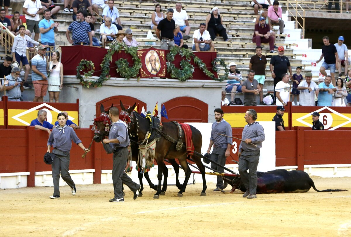 "La Feria de Alicante, con excepciones muy puntuales, no ha defraudado"