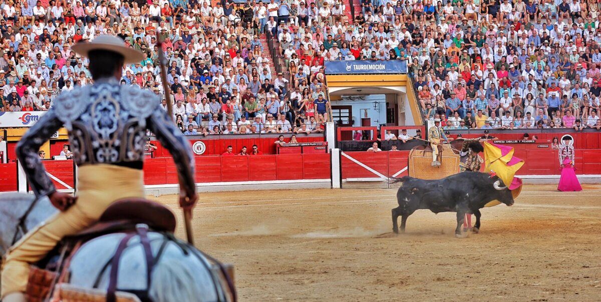 Alberto García: "Hemos convencido a los toreros y se sortearán los toros en Jaén"