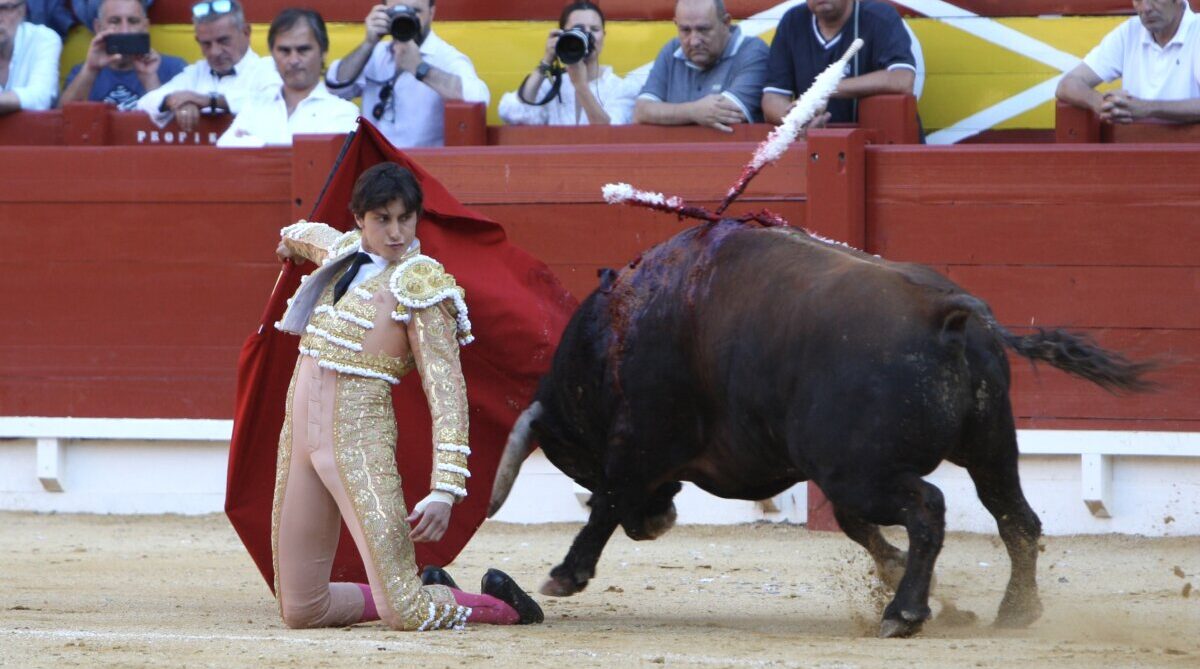 "La tarde en Alicante fue de Roca Rey, una puerta grande que se abrió a ley"