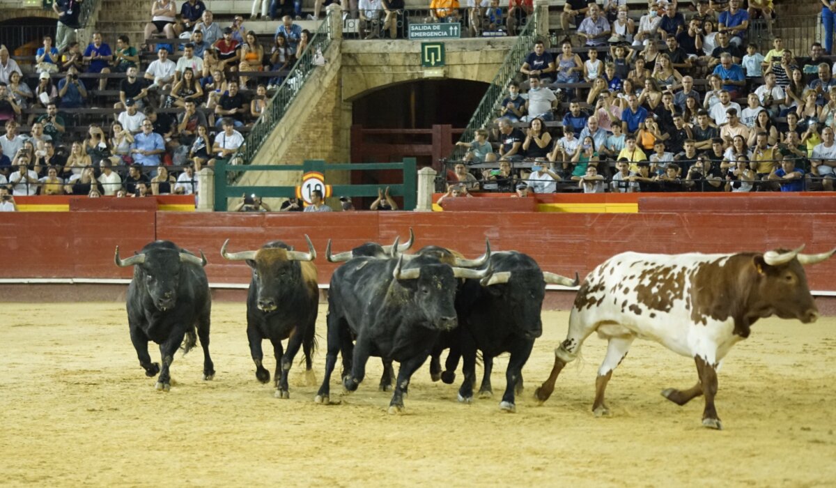 La hora de la Feria de Julio