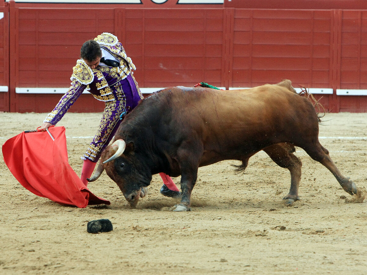 El Fandi, indulto, y Fernando Adrián, tres orejas en Arévalo