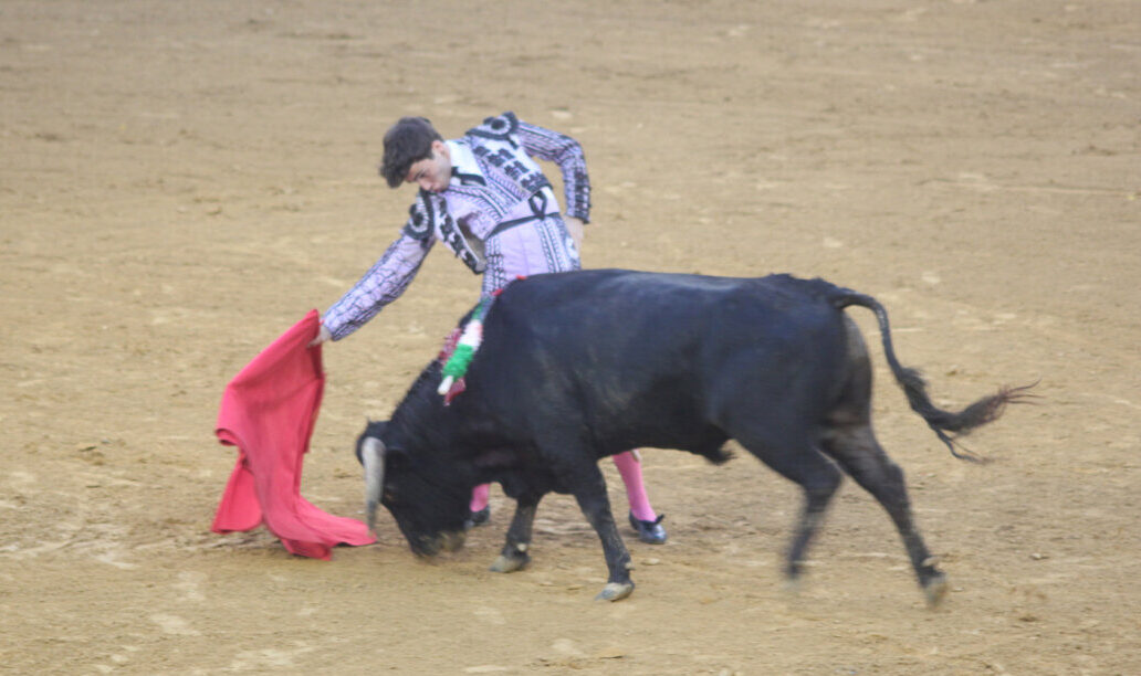 Buen nivel en el arranque de la feria de Santa Ana de Roquetas de Mar