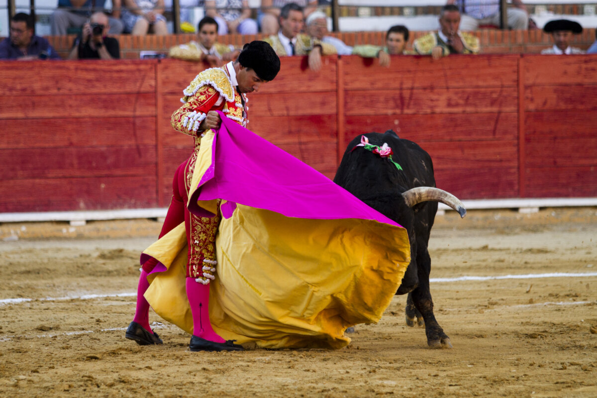 Dos toros bravos y un gran torero en Teruel