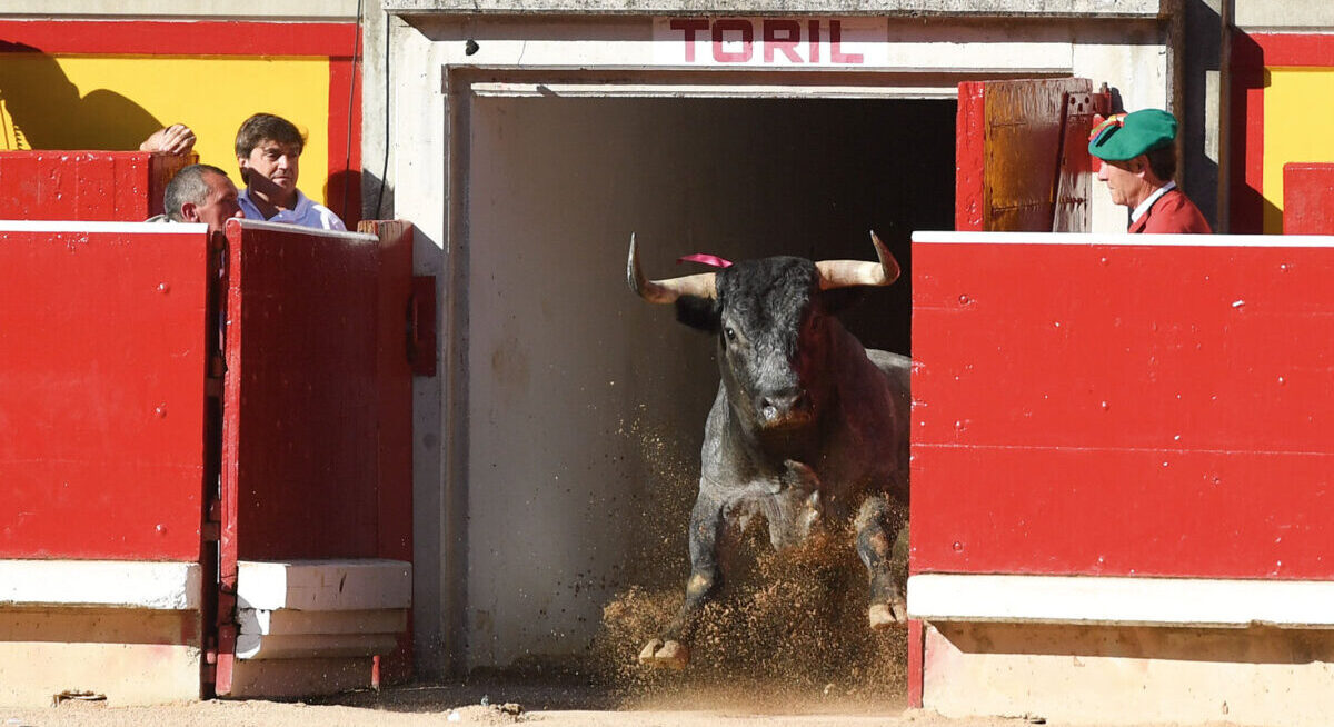 El Gobierno aprueba el Bono Cultural 2023, con los toros incluidos por fin