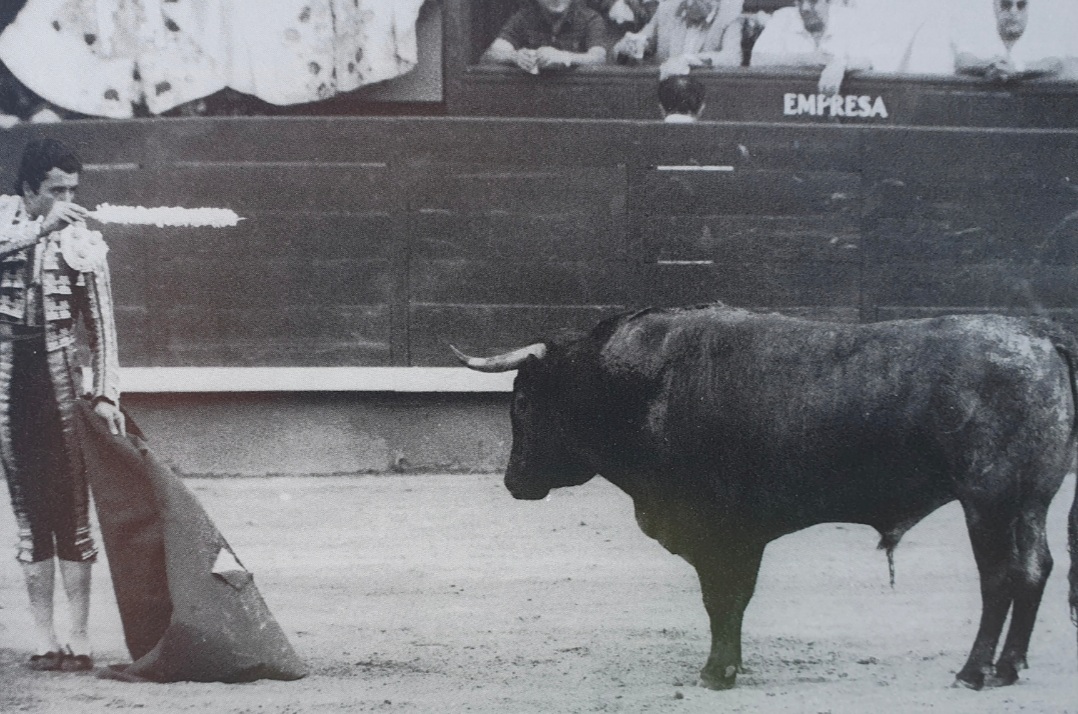 Cuarenta años de Velador, el primer y único toro indultado en Las Ventas