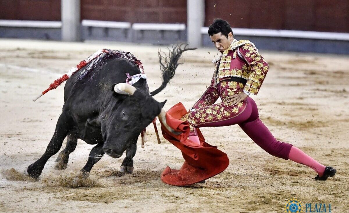 José Rojo se lleva la novillada nocturna de Madrid