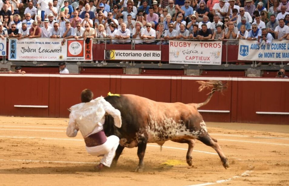 Espeluznante cogida al recortador Cyril Dunouau