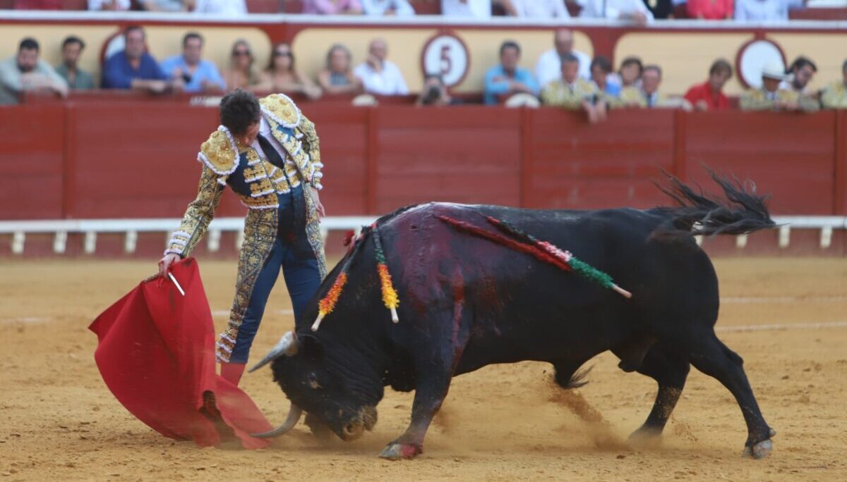 "Luque ha madurado de tal forma que tiene muchas tauromaquias, una por cada toro que le sale por chiqueros"
