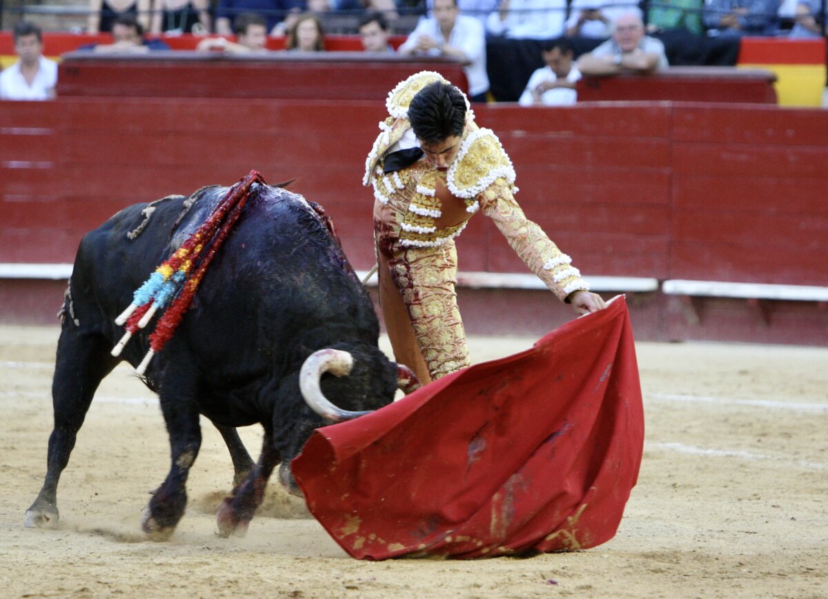 Valencia recompensa el tesón de Álvaro Lorenzo y Jesús Duque