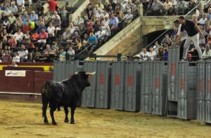 La desencajonada es un signo de identidad de la Fira