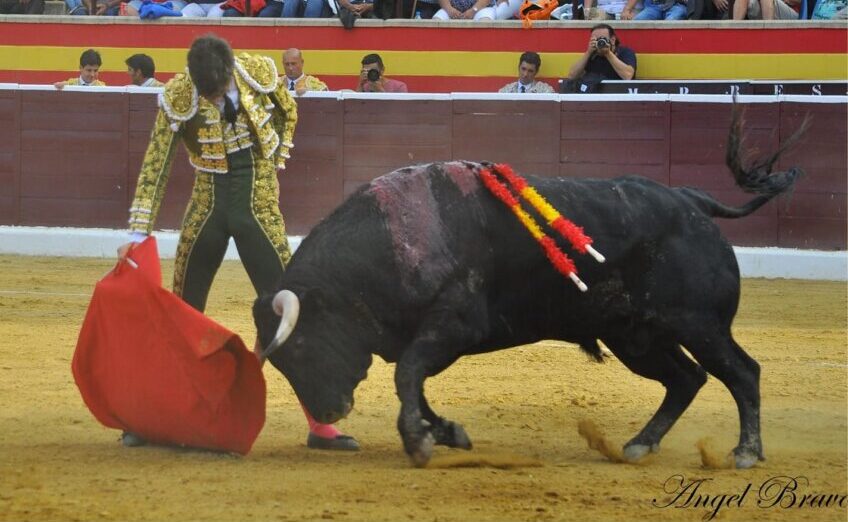 Villa del Prado mantiene su apuesta por la cantera del toreo