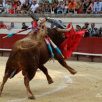 Así fue el percance de Manzanares en Beziers. Foto: Daniel Chicot