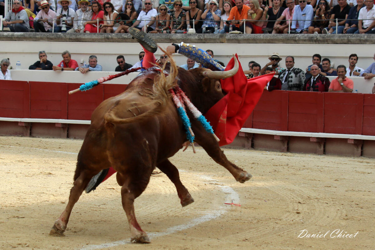 Así fue el percance de Manzanares en Beziers. Foto: Daniel Chicot