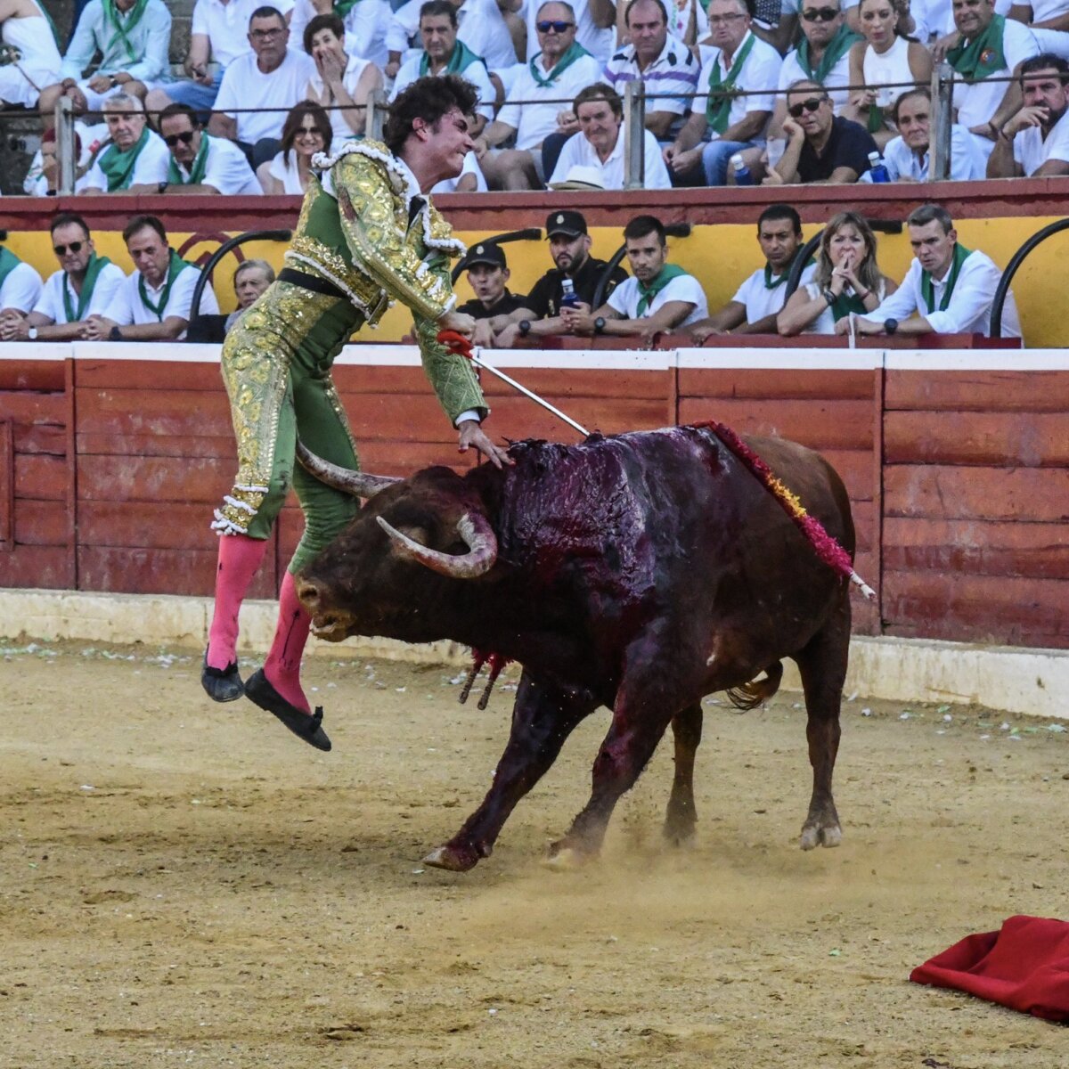 Espectacular y accidentada estocada sin muleta de Jorge Isiegas