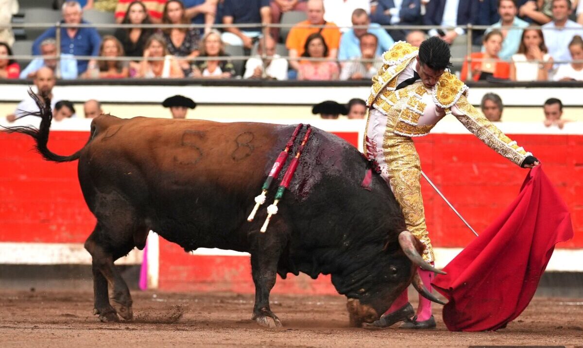 "El toro de Domingo Hernández parecía hecho a medida para el zambombazo de Talavante"