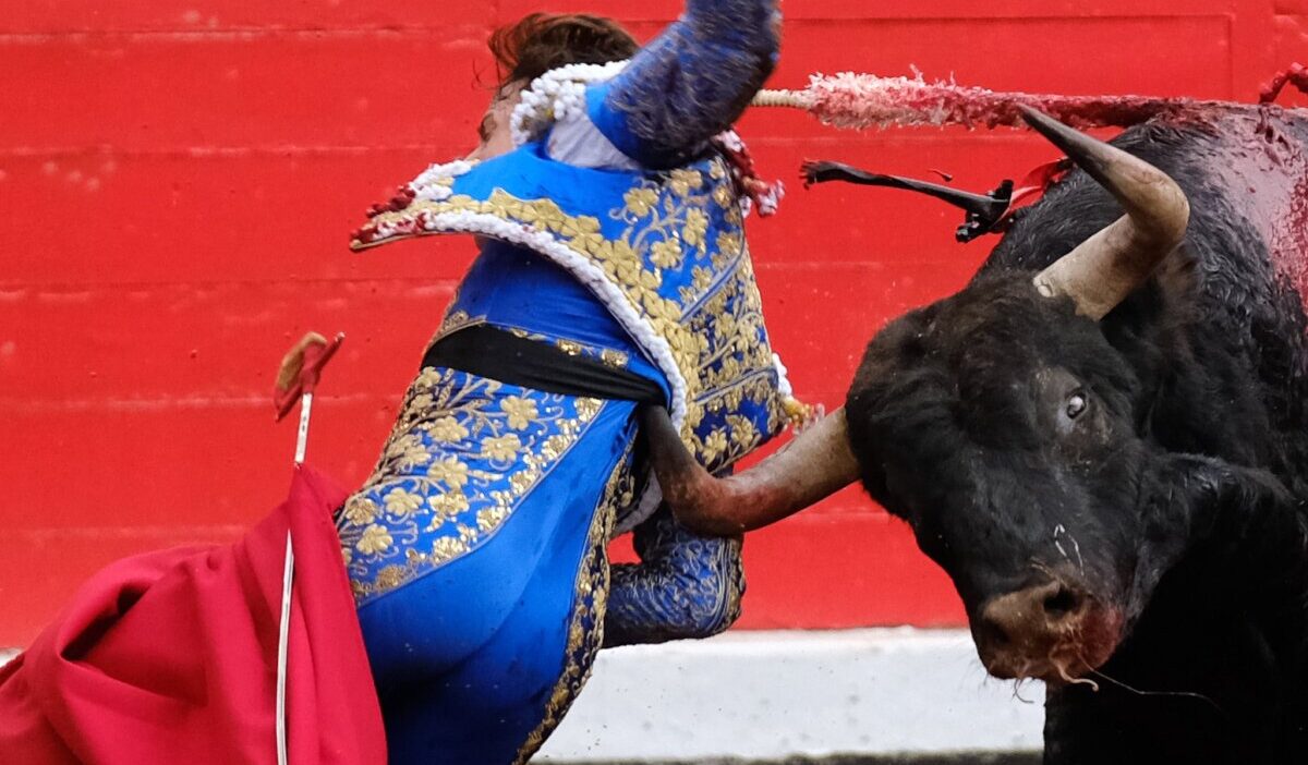 Roca Rey: traumatismos en frente, pómulo, antepié, muñeca, rodilla y varetazo lumbar