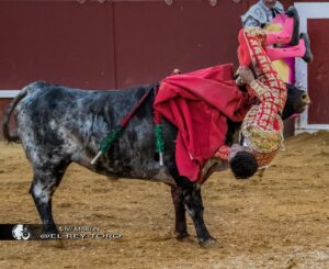 Foto: Ivi Martín / El rey toro