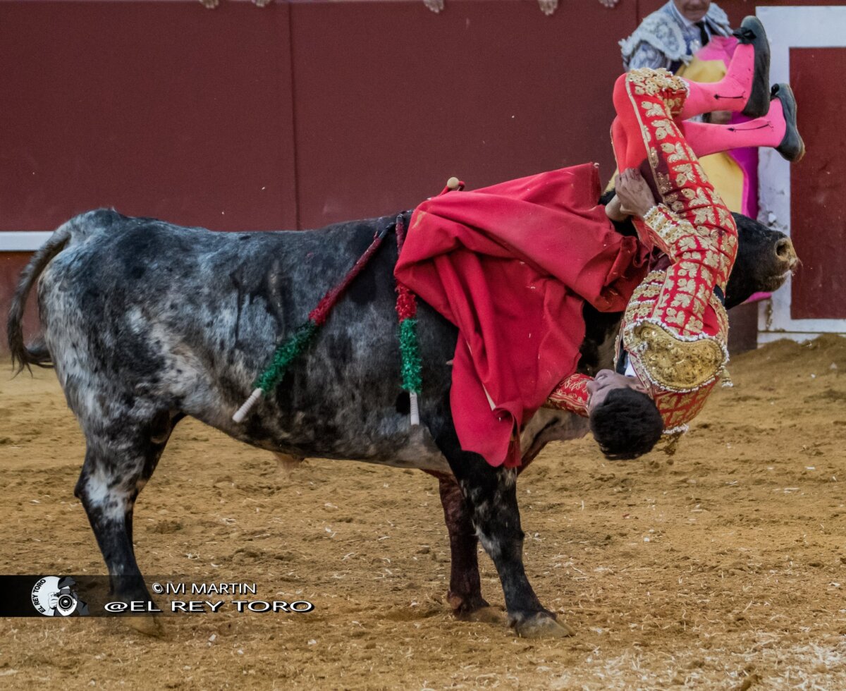 Foto: Ivi Martín / El rey toro
