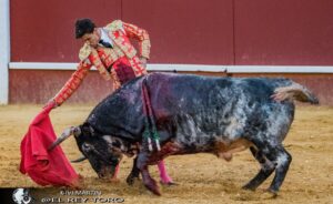 Foto: Ivi Martin / El rey toro