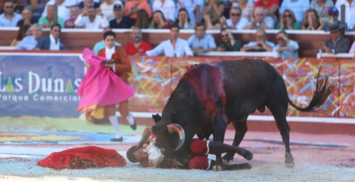 Octavio Chacón, dos cornadas en el muslo derecho de 10 y 20 centímetros en Sanlúcar