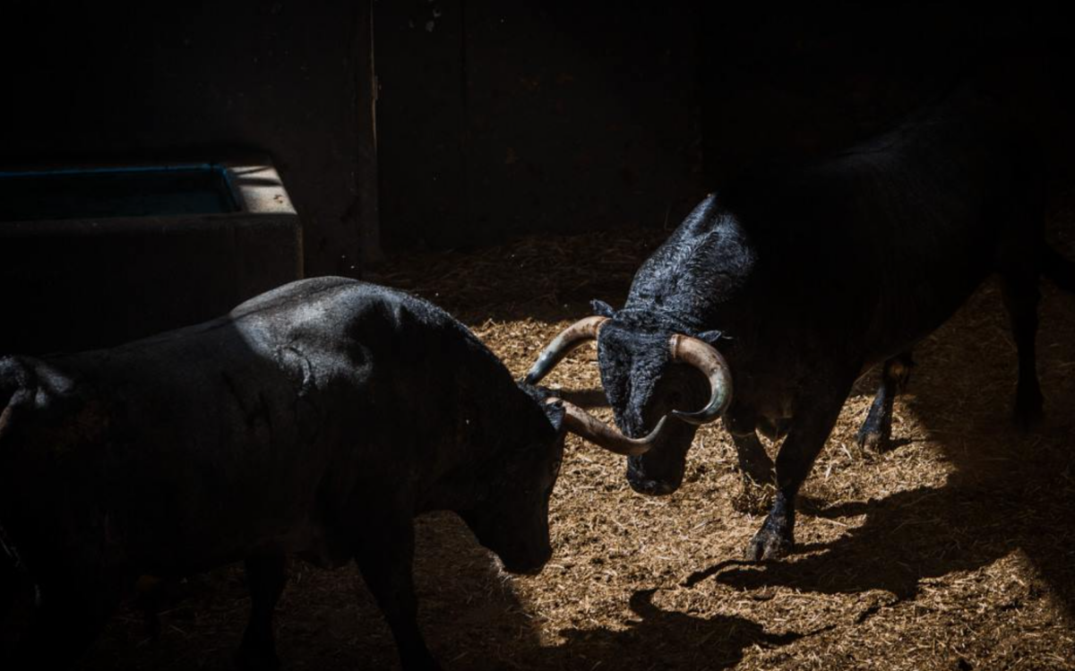 Plaza 1 presenta los carteles de septiembre, el mes del torismo en Las Ventas