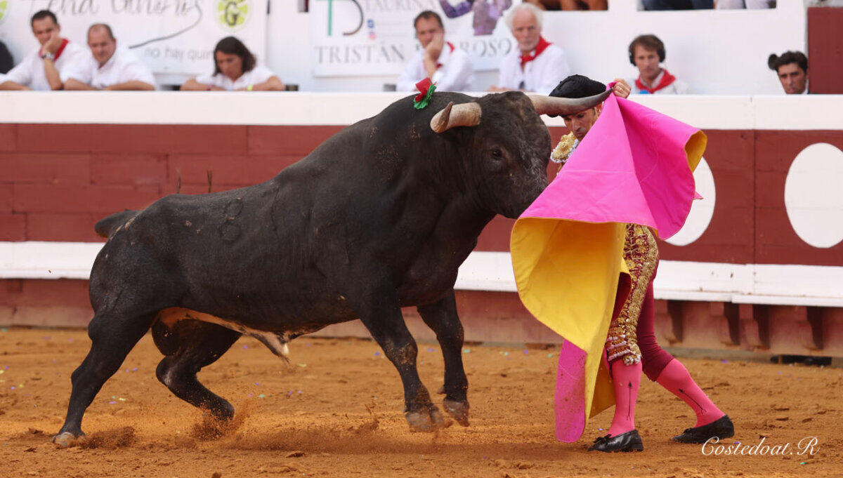 Imponente, complicada y desrazada miurada en Dax