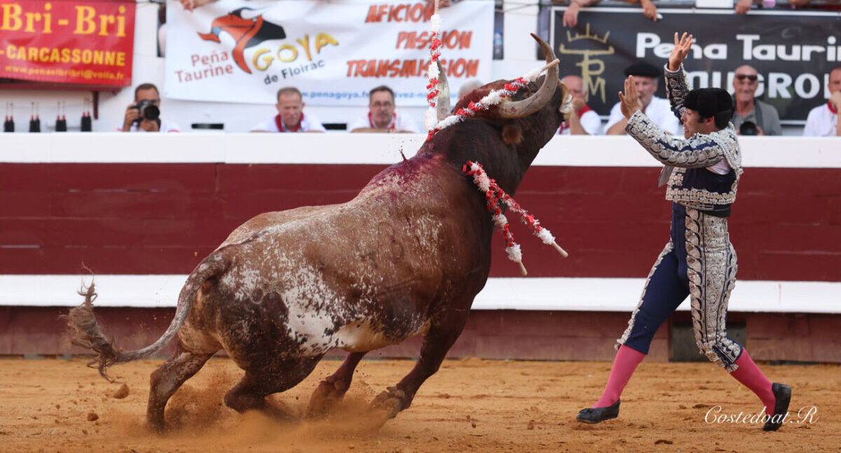 "La pandemia ha cambiado el sentido de la lidia y hoy el valor prima sobre el arte"