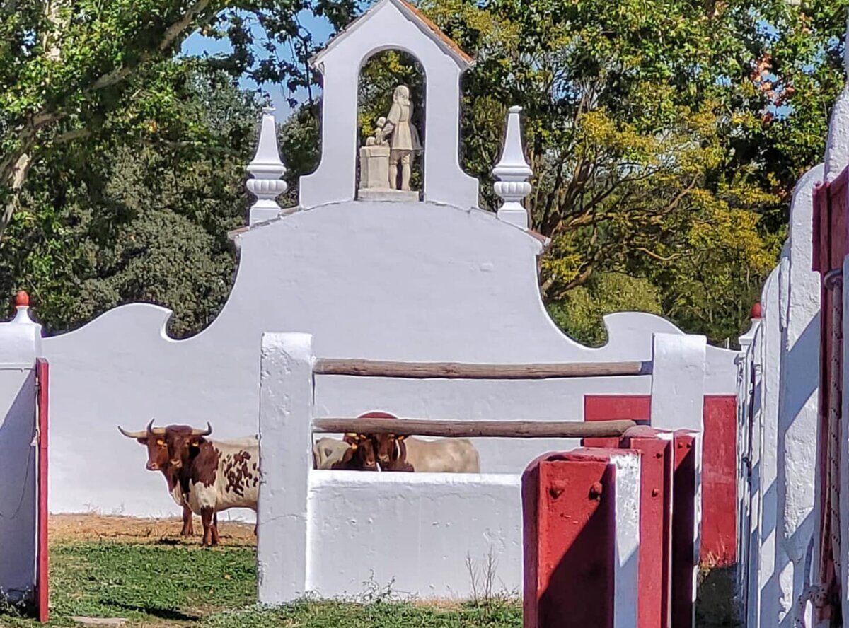 Los toros de Adolfo Martín y los novillos de Fuente Ymbro, ya en El Batán