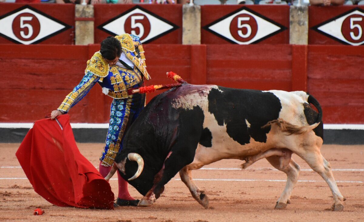 "Morante y Roca Rey superan la cuesta del verano peligroso en cabeza"