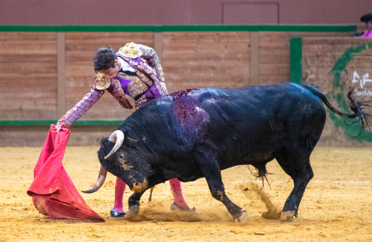 Arnedo: oreja para Christian Parejo y un bravo novillo de Cebada Gago para empezar