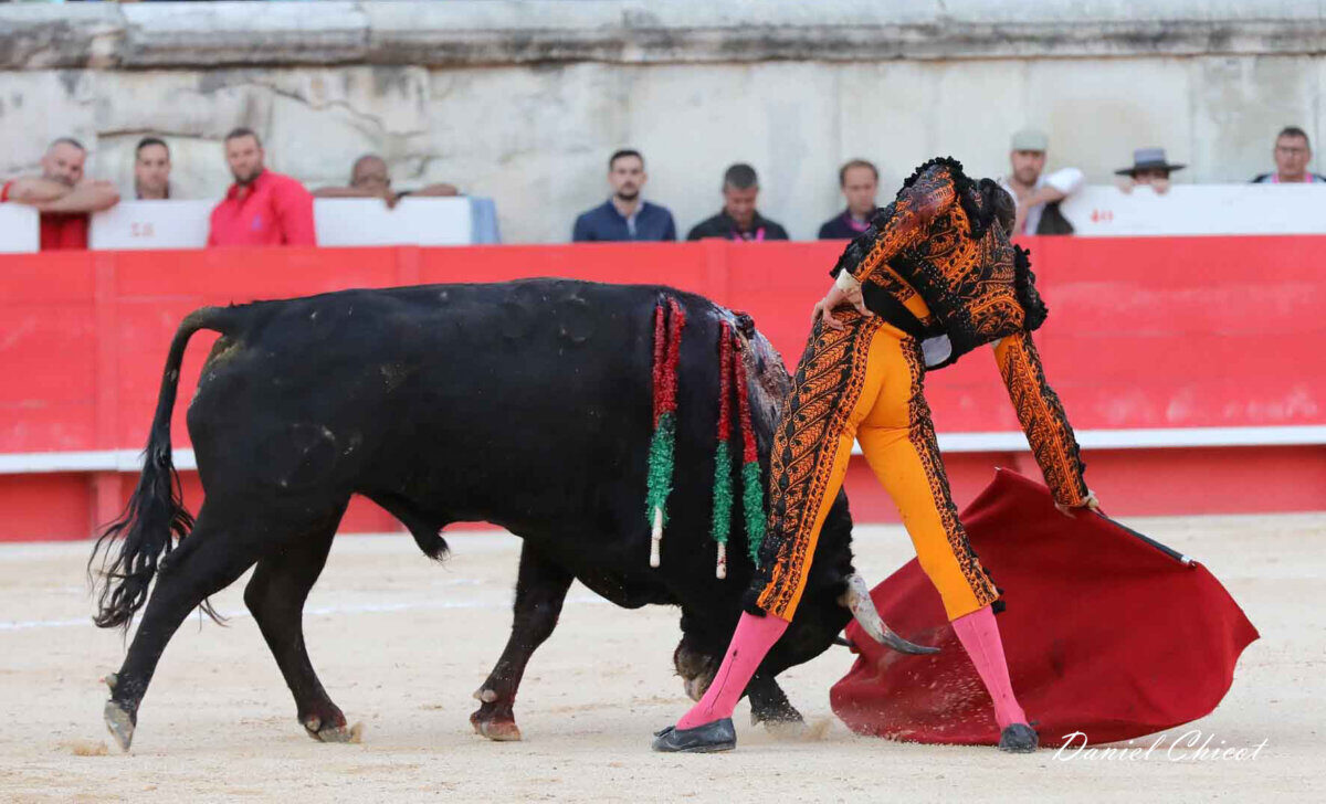 Roca Rey y Dolores Aguirre, los mejores del año en el sudeste francés