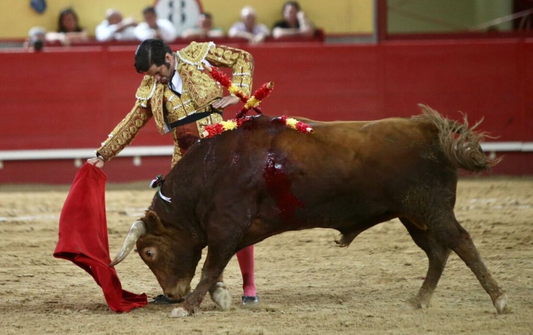 Morante apadrina una feria de Navalcarnero plagada de toreros emergentes