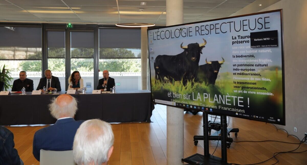 Los alcaldes de las ciudades taurinas, unidos en Nimes: "Ahora es el toro, luego será la caza, la pesca..."