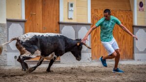 Foto: Adrián Sales / El Periódico Mediterráneo