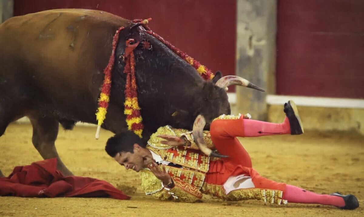 Javier Poley, cornada en el muslo derecho de tres trayectorias