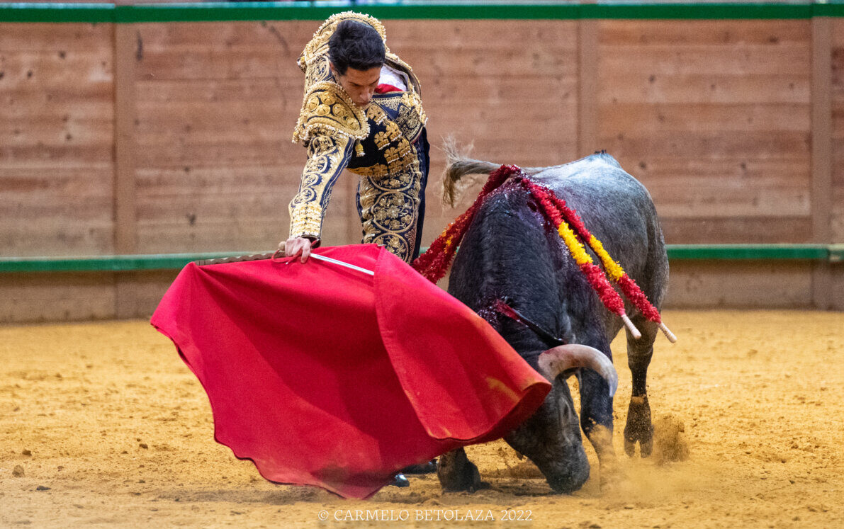 Manchonero, de Adolfo Martín, firme candidato al novillo de la feria en Arnedo