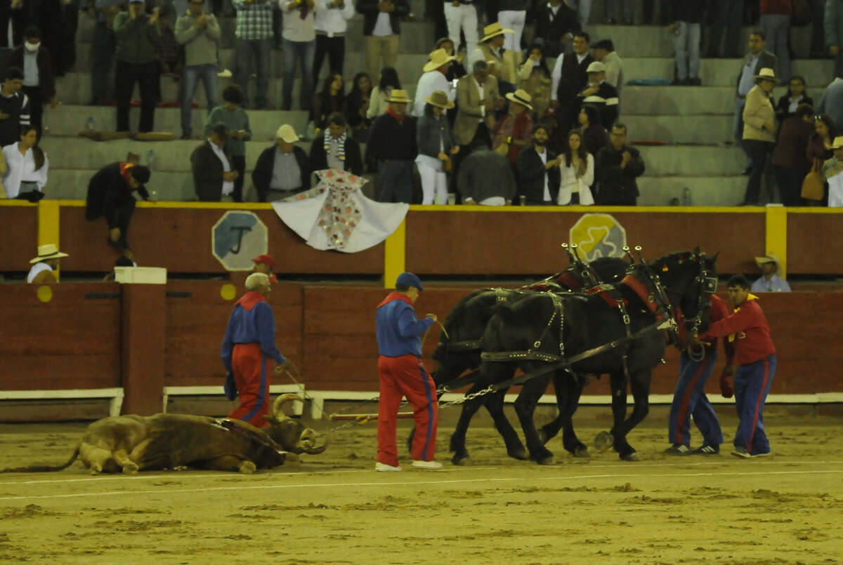 Lima no podrá lidiar ganado español en su feria debido a problemas sanitarios