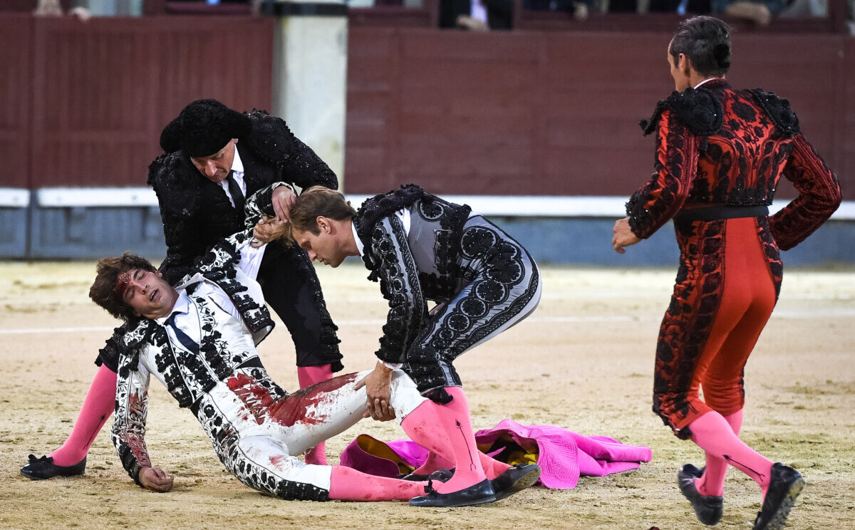 Ángel Sánchez, "cornada en el muslo izquierdo y traumatismo craneoencefálico"
