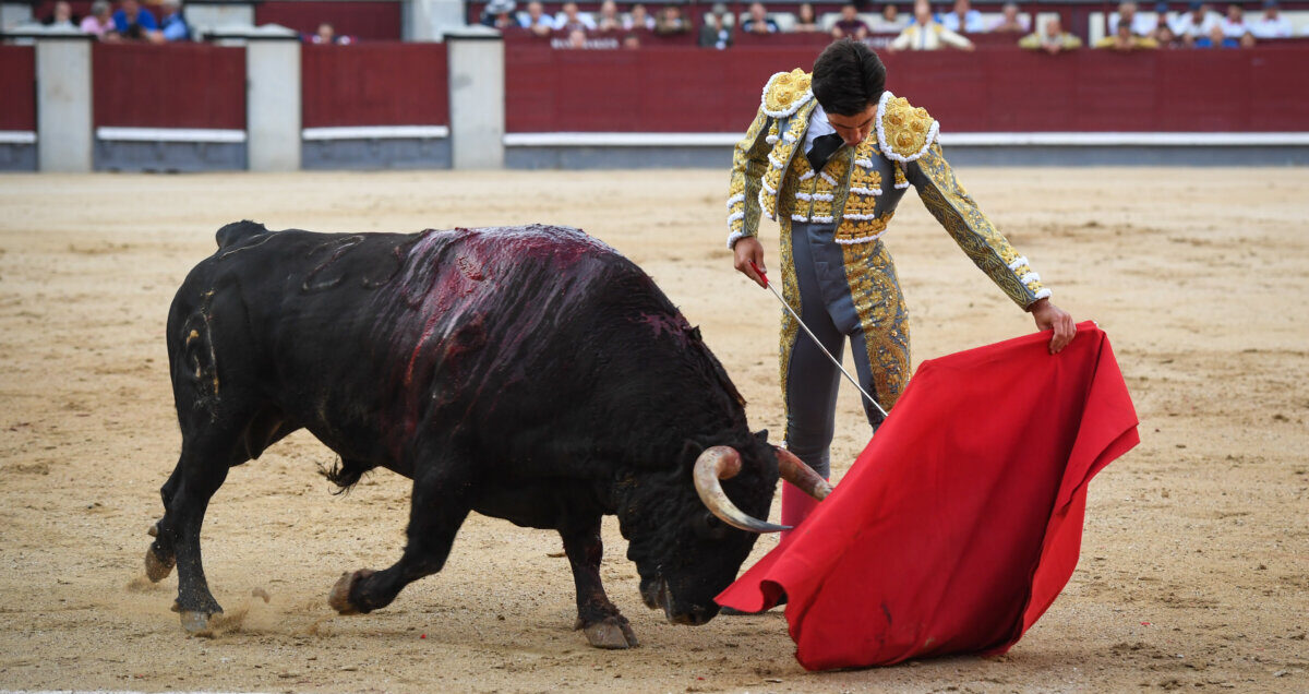 Perera, Leal y Lorenzo: temple, valor y clase en Madrid