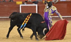 Donaire, menudito y despierto, enganchó con una naturalidad creativa deslumbrante.